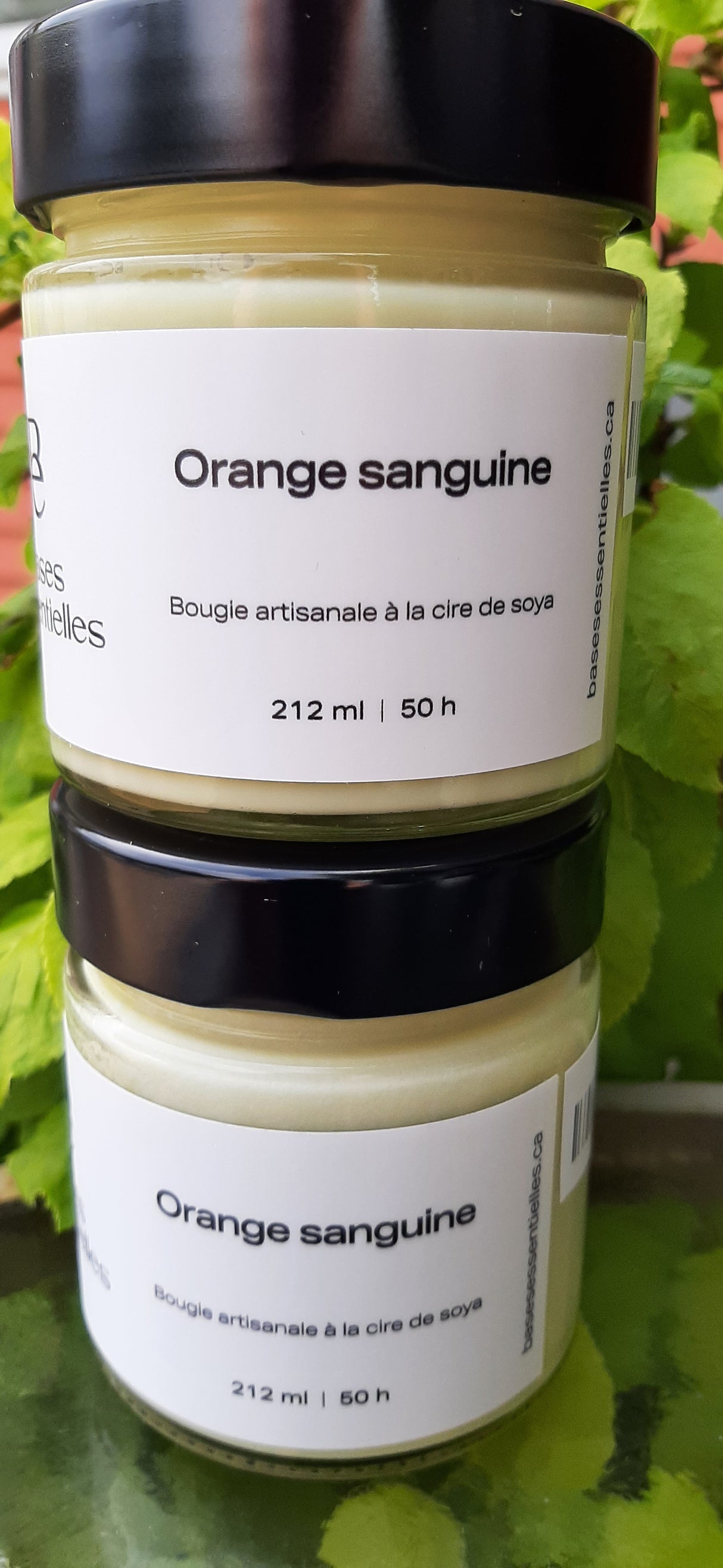 BAS0039 - Bougie artisanale à la cire de soya - Orange sanguine
