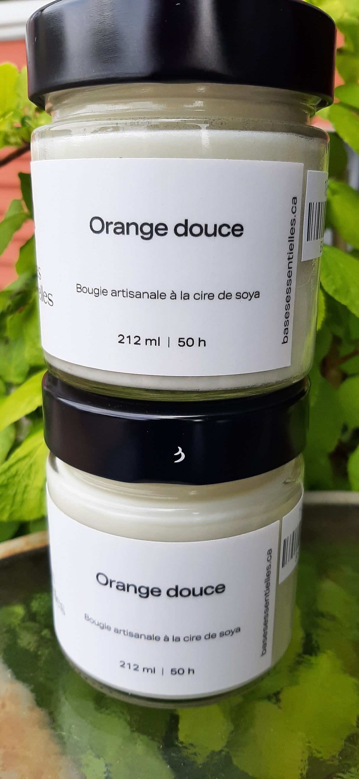 BLA0126 - Frangipani soap