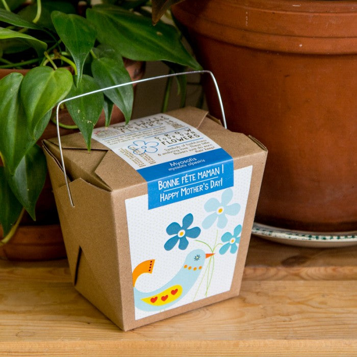 MAN00036 - Garden in box wishes - Happy Mother's Day!