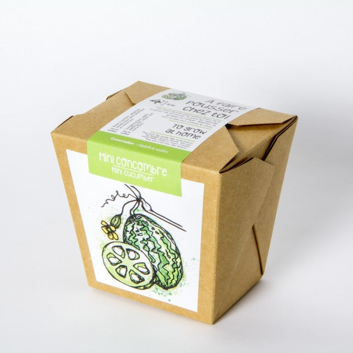 MAN00057 - Junior boxed garden - crunchy sunflower
