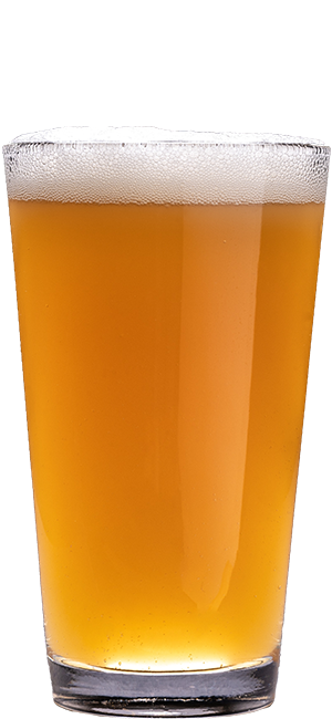 LAG0003 - VRAC/BULK - The golden drop - ORGANIC sunflower oil - QUEBEC