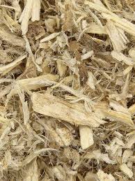 NEV0178 - Jasmine buds and petals