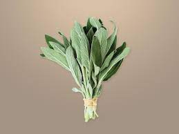 HER0645 - Sage