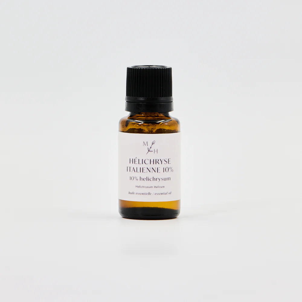 LMH0057 - Cornflower knapweed