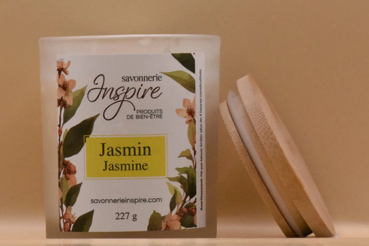 INS0011 - Chandelle - Jasmin