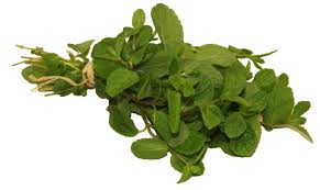 NEV0178 - Jasmine buds and petals