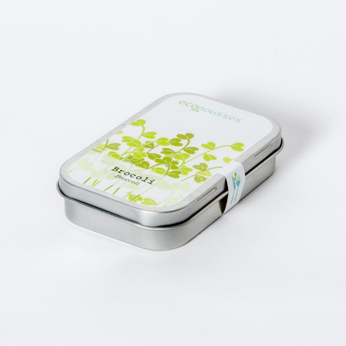 MAN00057 - Junior boxed garden - crunchy sunflower