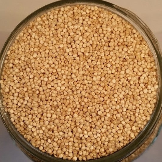 NEV0019 - Quinoa 3 colors