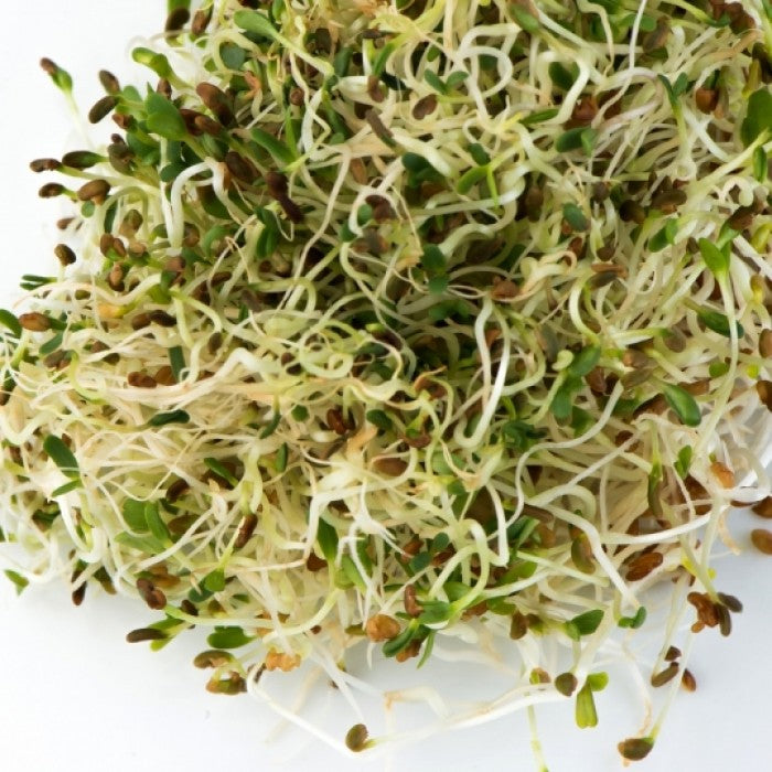 MAN30016 - Ecopousses - Sandwich booster