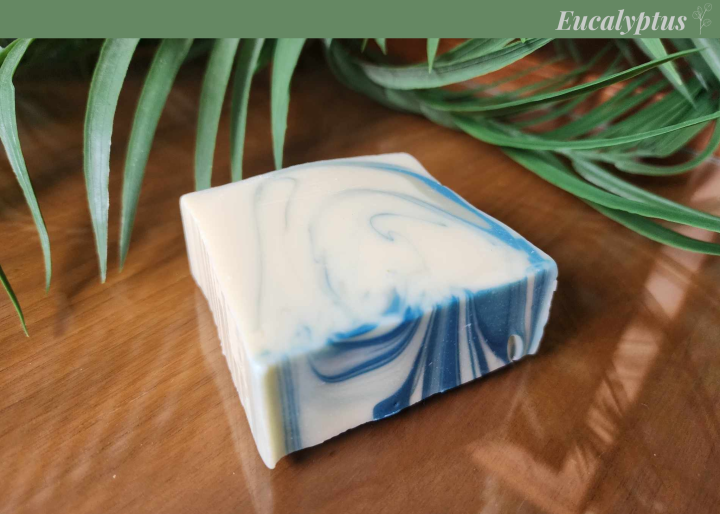 NOU0002 - Eucalyptus