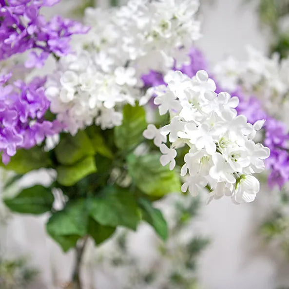 FRA-LIL-030 - Fragrance - Lilas /Lilac