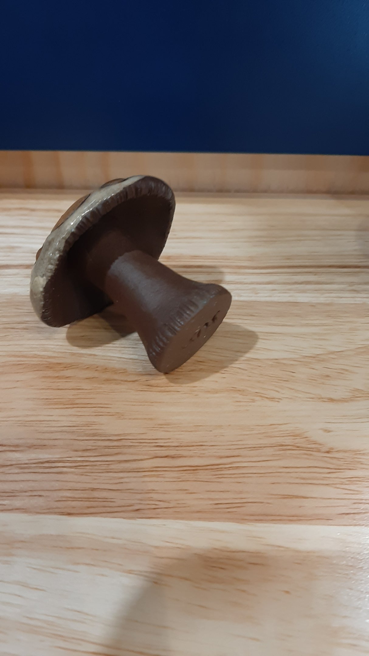 MUS0079 - Small brown, gray and corn yellow mushroom