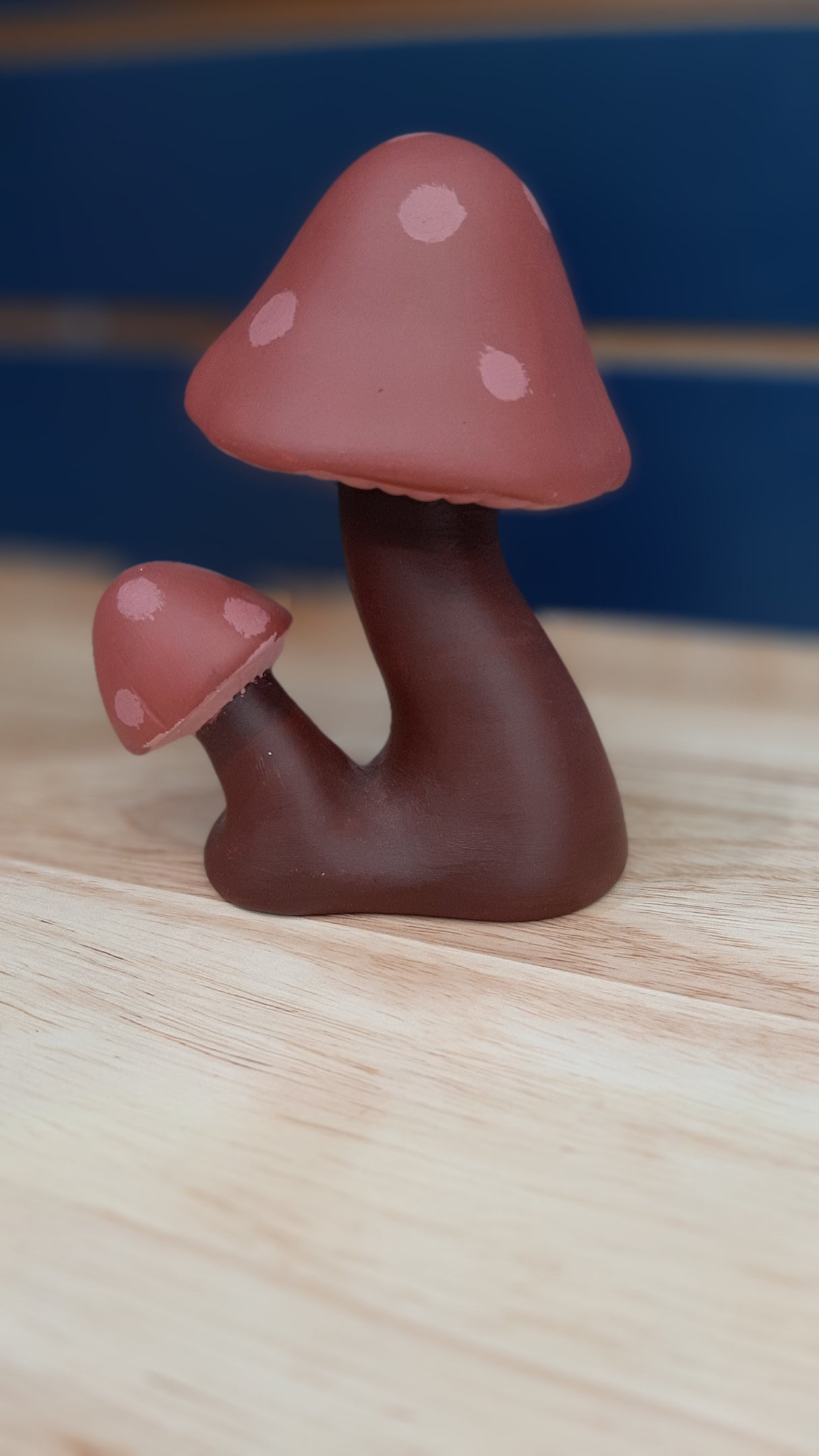 MUS0028 - Duo of dark red mushrooms - one large and one small