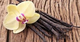 NEV0165 - Vanilla pod