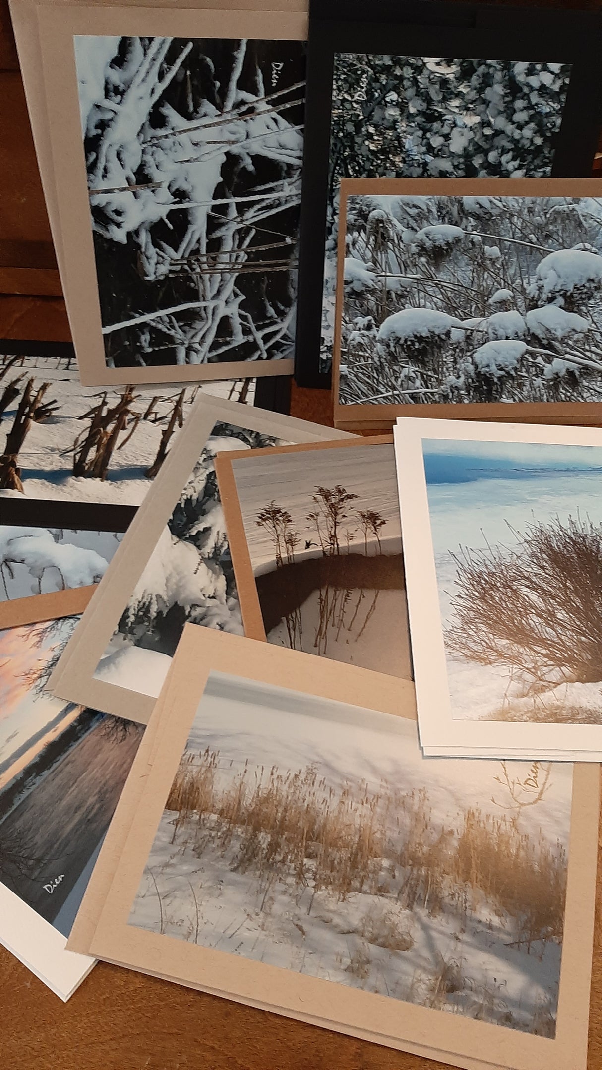 ACC0027 - Carte sans texte - Paysage d'hiver