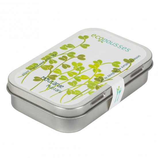 MAN30012 - Ecopousses - Mustard / mustard