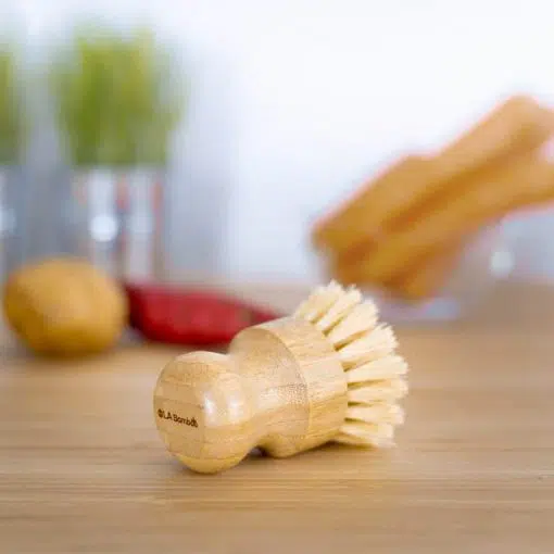 OLA1444 - Brosse à légumes