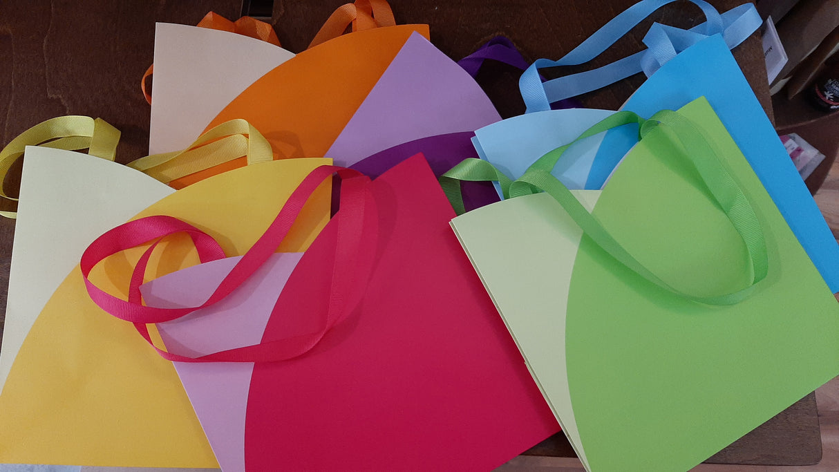 SAC0008 - sac bicolore