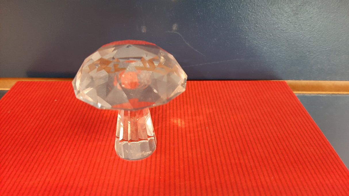 MUS0041 - Crystal mushroom