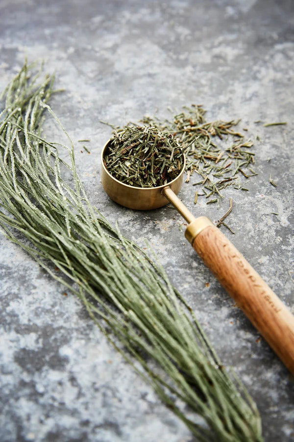 LMH0050 - Prêle bio