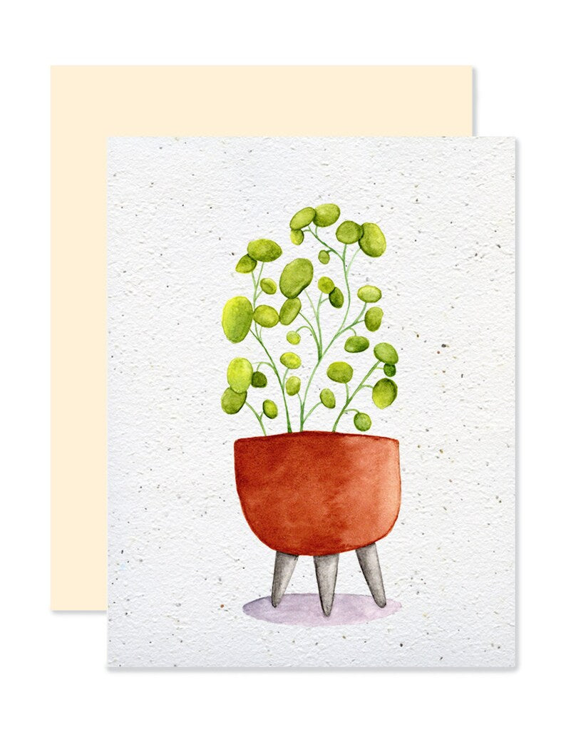 EMM0045 - Carte à planter / Plantable greeting card - Pilea
