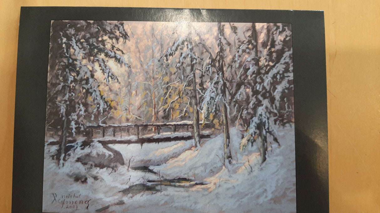 RAY0002 - Carte - Lumière de sous-bois