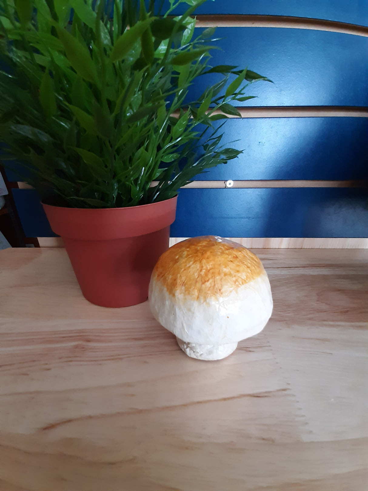 MUS0014 - Champignon en papier