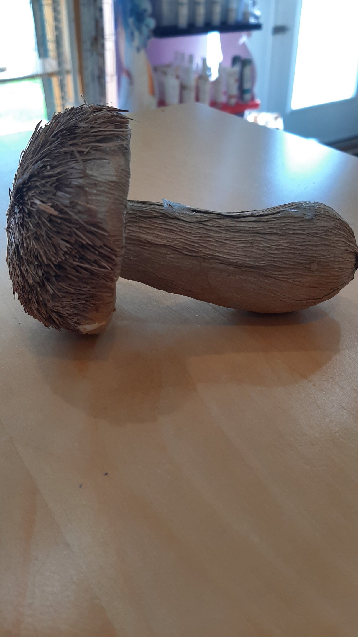 MUS0069 - Light mushroom