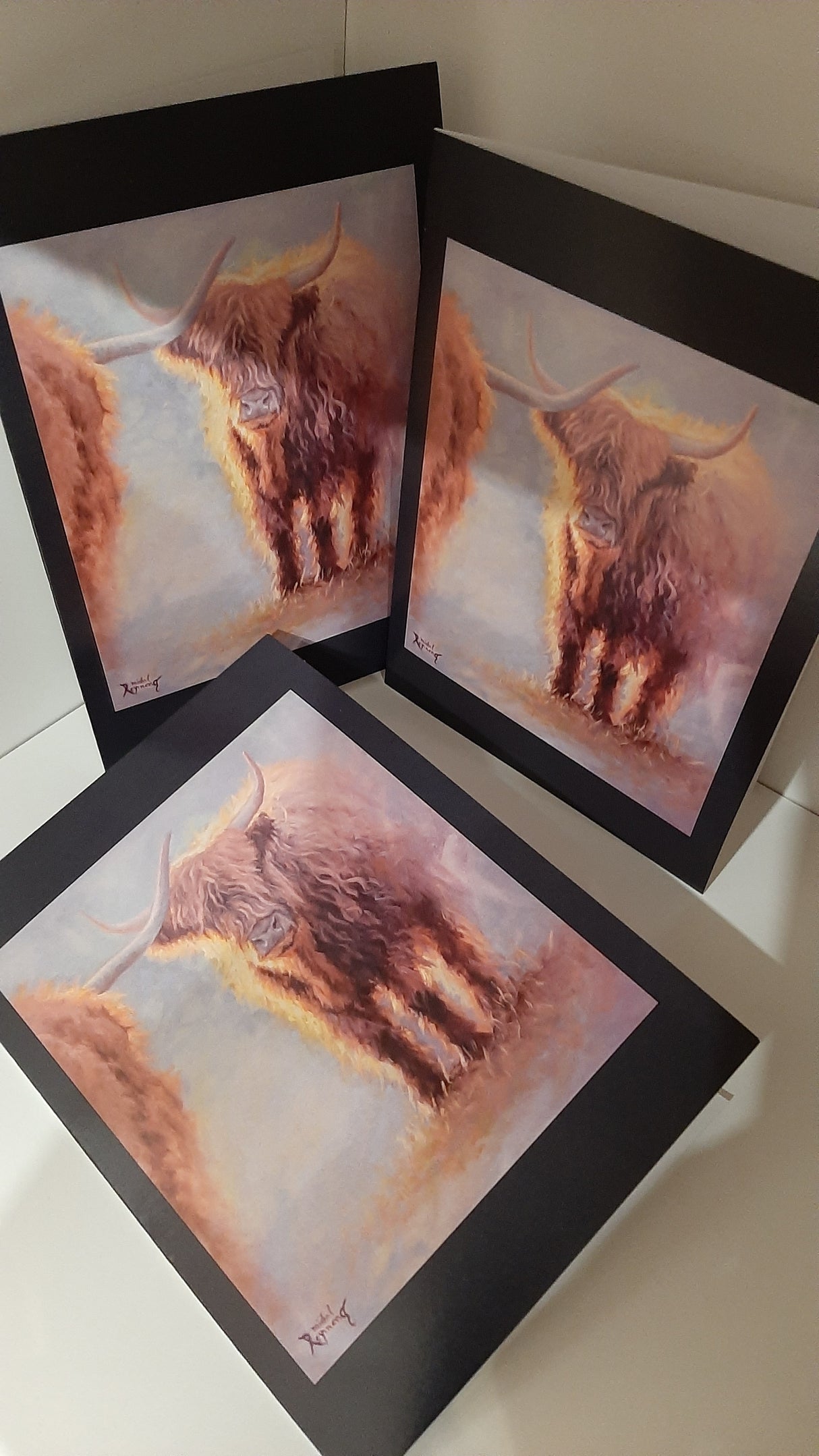 RAY0001 - Carte - La rencontre