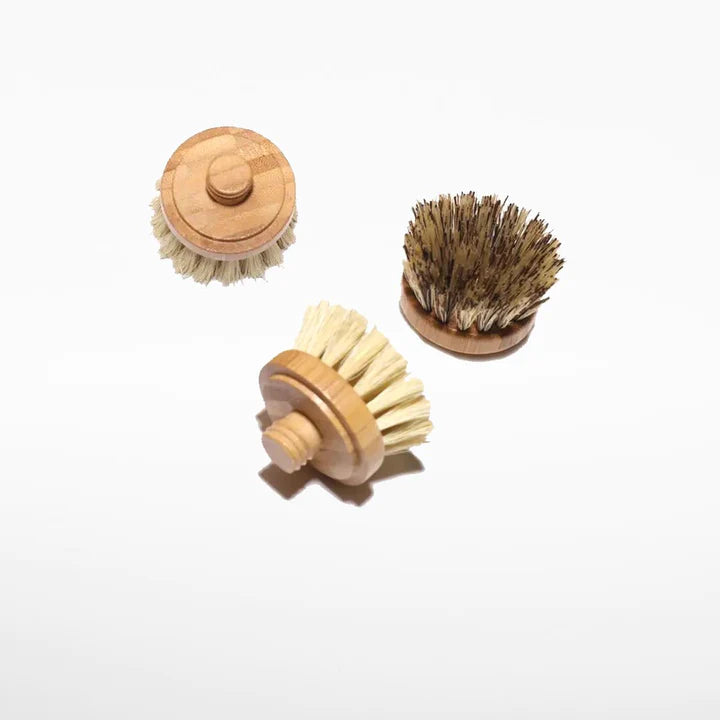 PRO0002 - Replaceable head for dishwashing brush