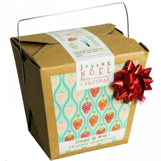 MAN00033 - Garden in box wishes - Merry Christmas!