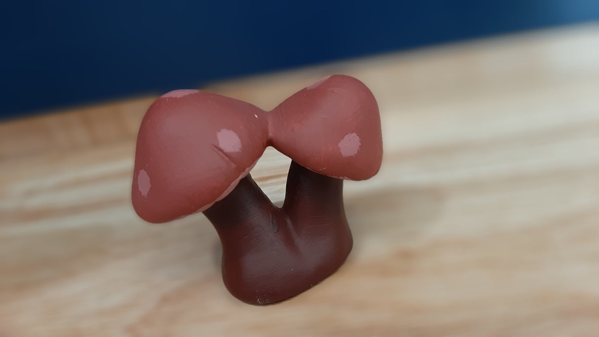 MUS0027 - Duo de petits champignons rouges foncés