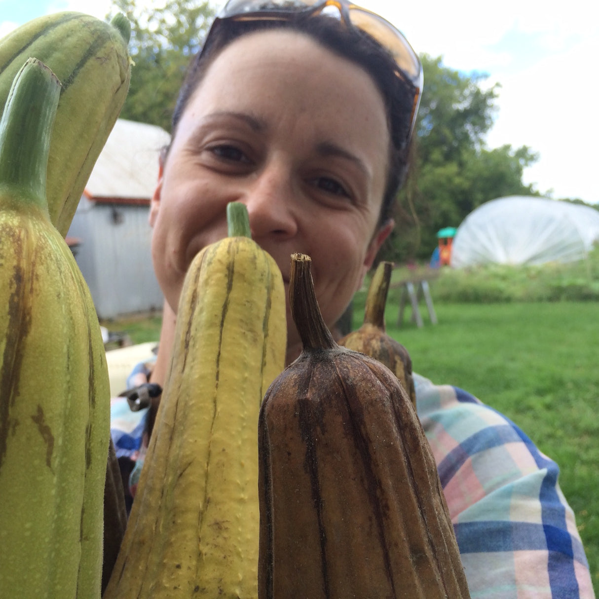 LAF0002 - VEGETABLE FIBER - Luffa - 12 in. vegetable sponge