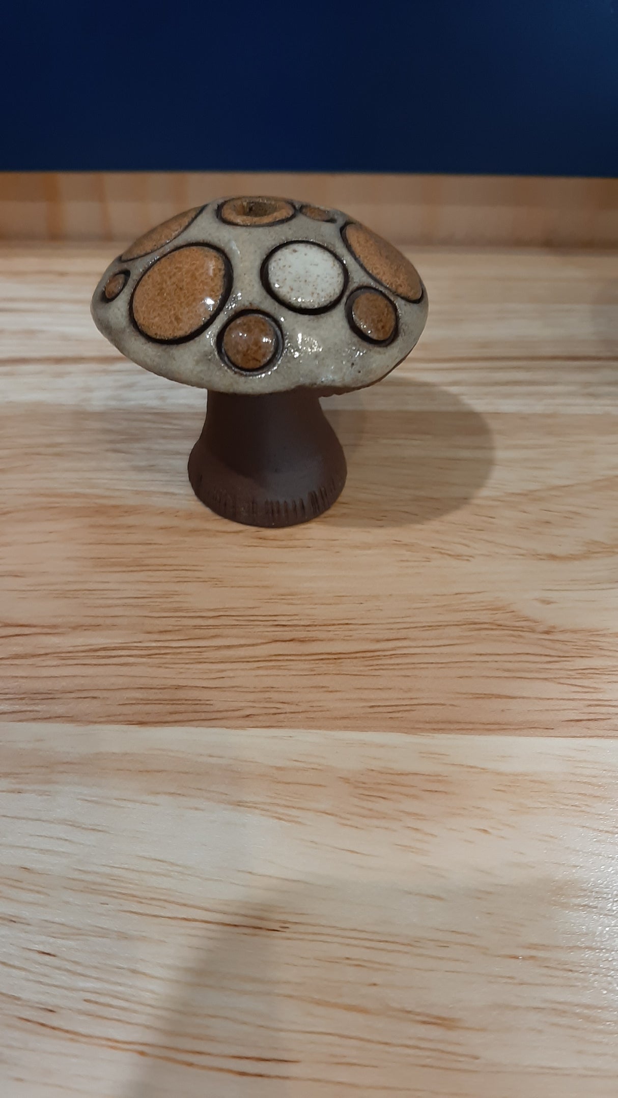 MUS0079 - Small brown, gray and corn yellow mushroom