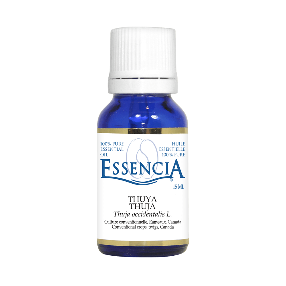ESS0101 - Huile essentielle - Thuya
