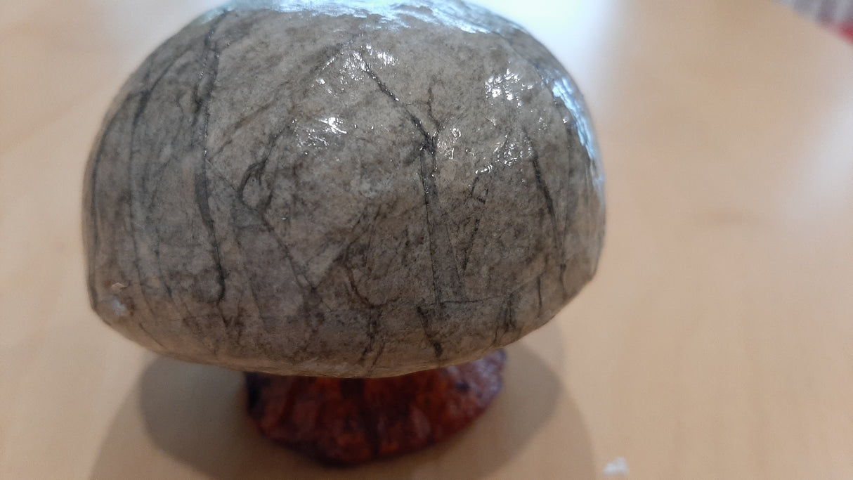 MUS0067 - Champignon vert avec pied brun