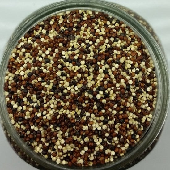 NEV0019 - Quinoa 3 colors