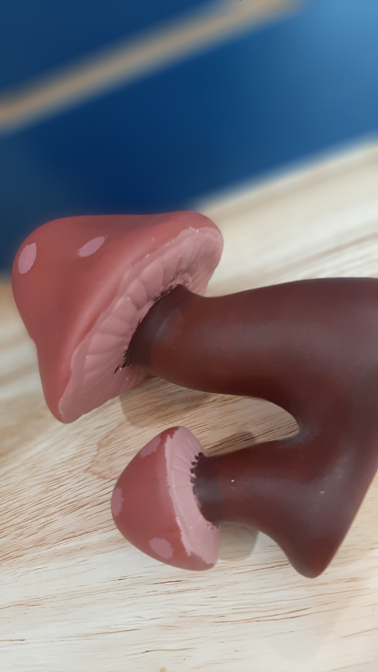 MUS0028 - Duo of dark red mushrooms - one large and one small