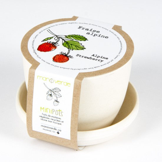MAN10027 - Minipots - Fraise alpine / alpine strawberry