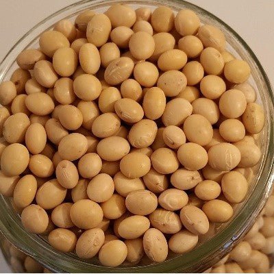 NEV0013 - Soybeans