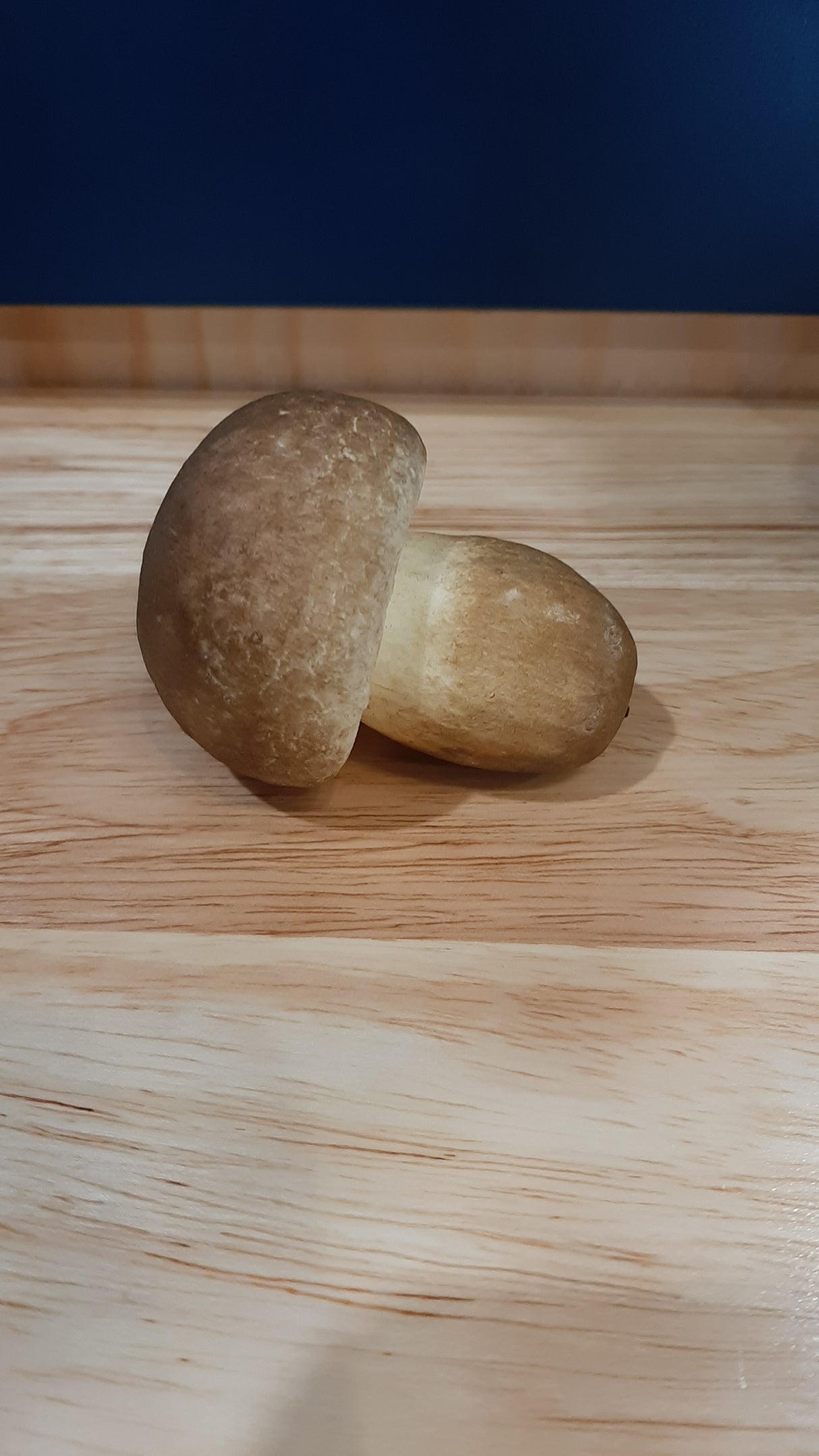 MUS0078 - Pottery mushroom duo