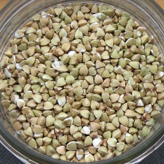 NEV0031 - Hulled white buckwheat