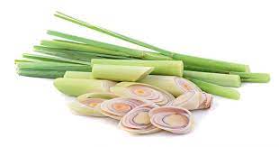 HER9400 - Lemongrass