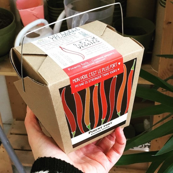 MAN00037 - Jardin en boîte souhaits - Bonne fête papa !