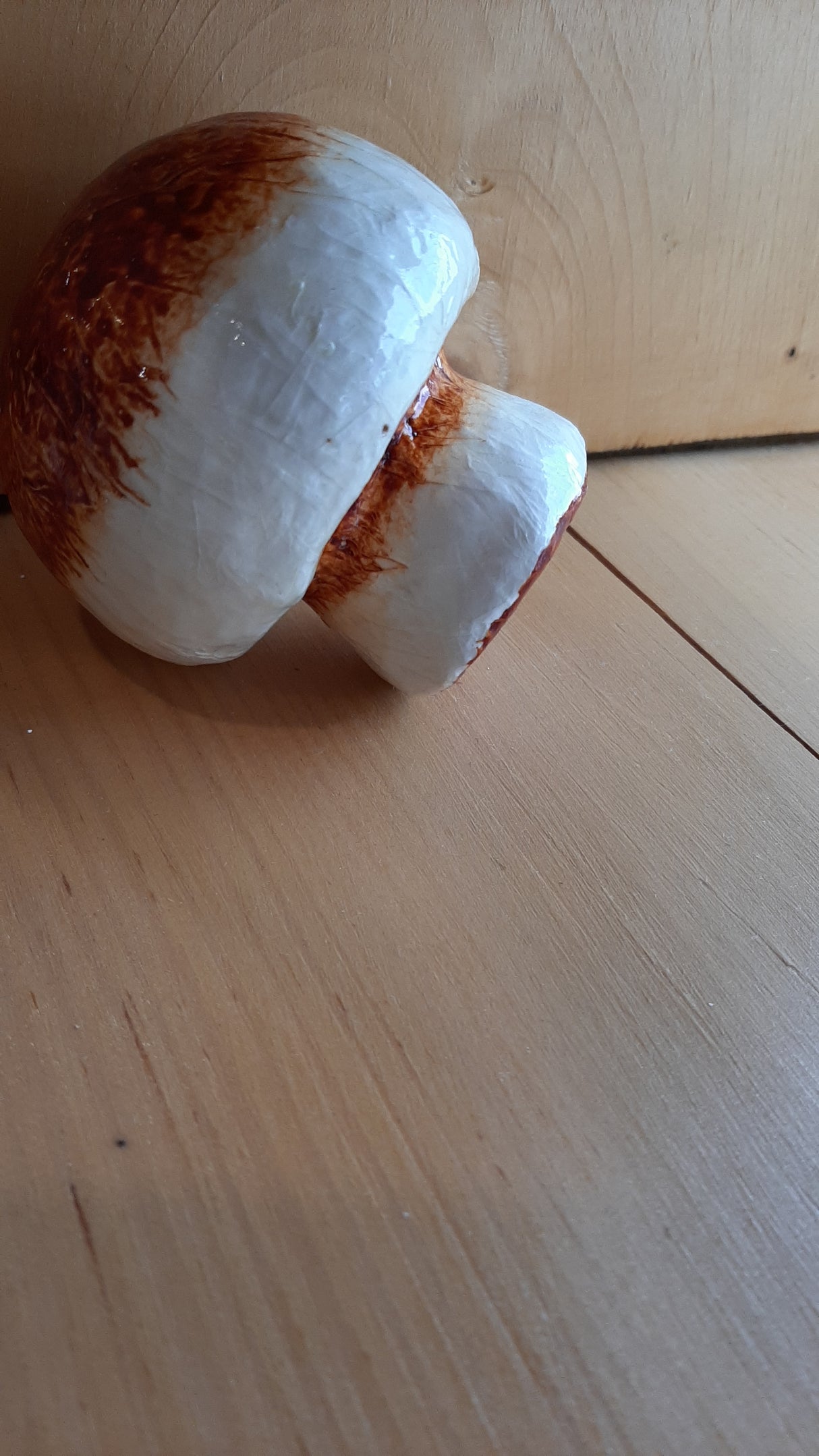 MUS0032 - Champignon de Paris blanc et orange foncé