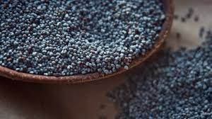 NEV0147 - BULK - Poppy seeds
