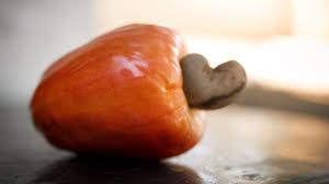 NEV0004 - Raw unsalted cashew nuts