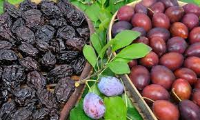 NEV0038 - Pitted prunes