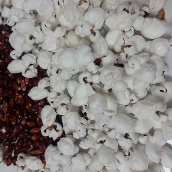 NEV0046 - Red corn to pop