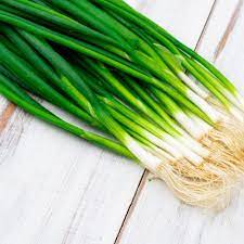 HER9349 - Chives
